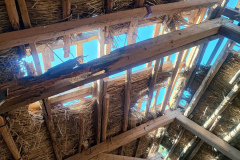 IMG_20240829_094208