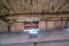 IMG_20240829_114834