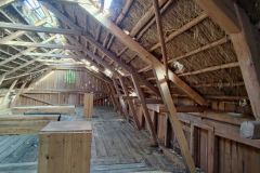 IMG_20240830_112023